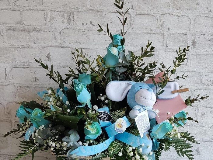 Cesta nacimiento 