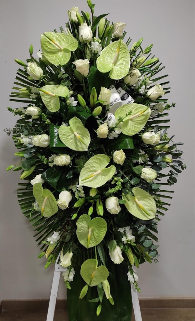 Foto 1 Lágrima con anturium verde