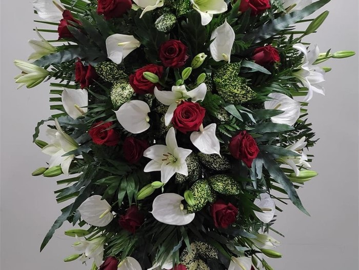 Lágrima en blanco y rojo