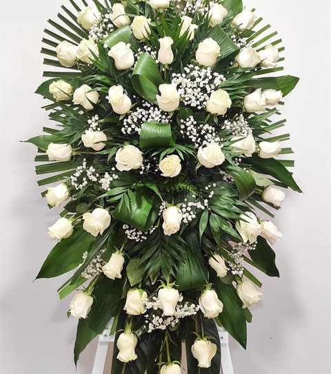 Lágrima Rosas Blancas 